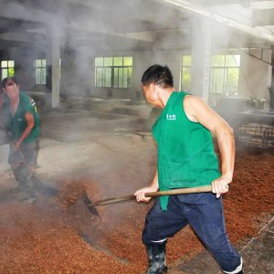 喚醒兩千余條窖池，新的釀酒季由此開始