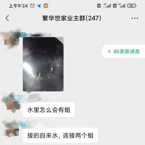太惡心！小區(qū)自來(lái)水中驚現(xiàn)“活物”