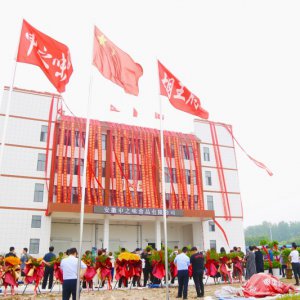 安徽胡王府：預(yù)制菜產(chǎn)業(yè)新生力量，助推鄉(xiāng)村振興